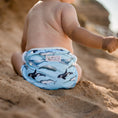 Load image into Gallery viewer, Swimming Nappy - Whales