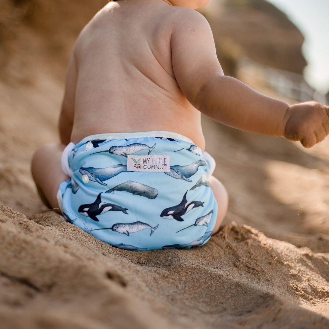 Swimming Nappy - Whales