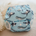 Load image into Gallery viewer, Swimming Nappy - Whales