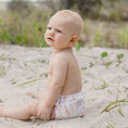 Load image into Gallery viewer, Swimming Nappy - Eucalyptus