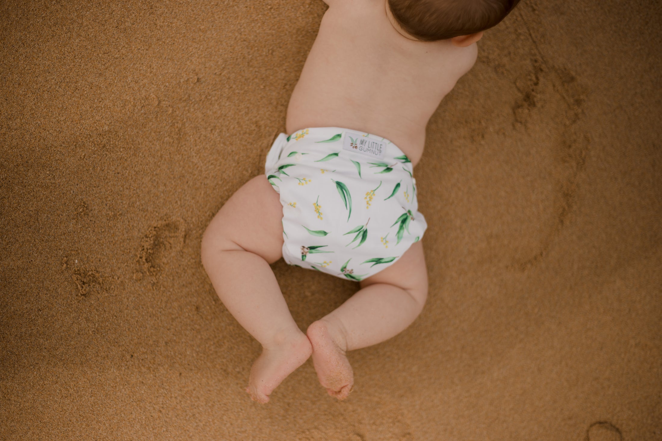 Beach baby wearing Gumnut Swimming Nappy. Australiana artist designed cloth swim nappy. My little gumnut. 