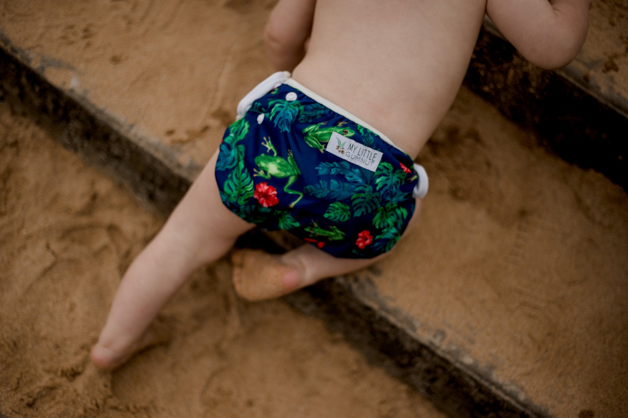 Beach baby wearing Tropical frog swimming nappy. Australian artist desgined swimming nappy. My little gumnut.