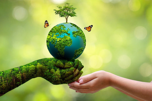 A green hand holding a globe