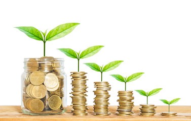 Money in jars with plants growing out of it