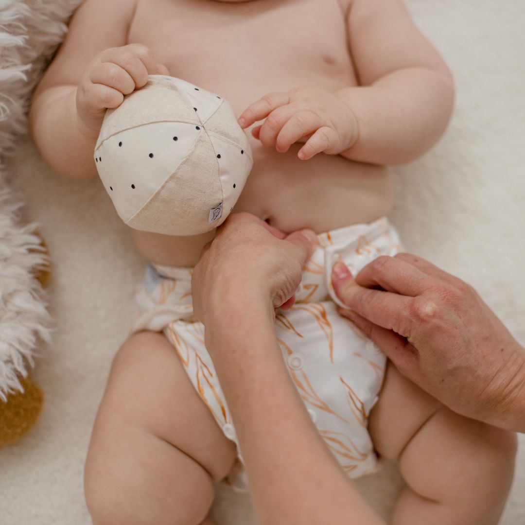 Cloth Nappy 2.0 - Eucalyptus