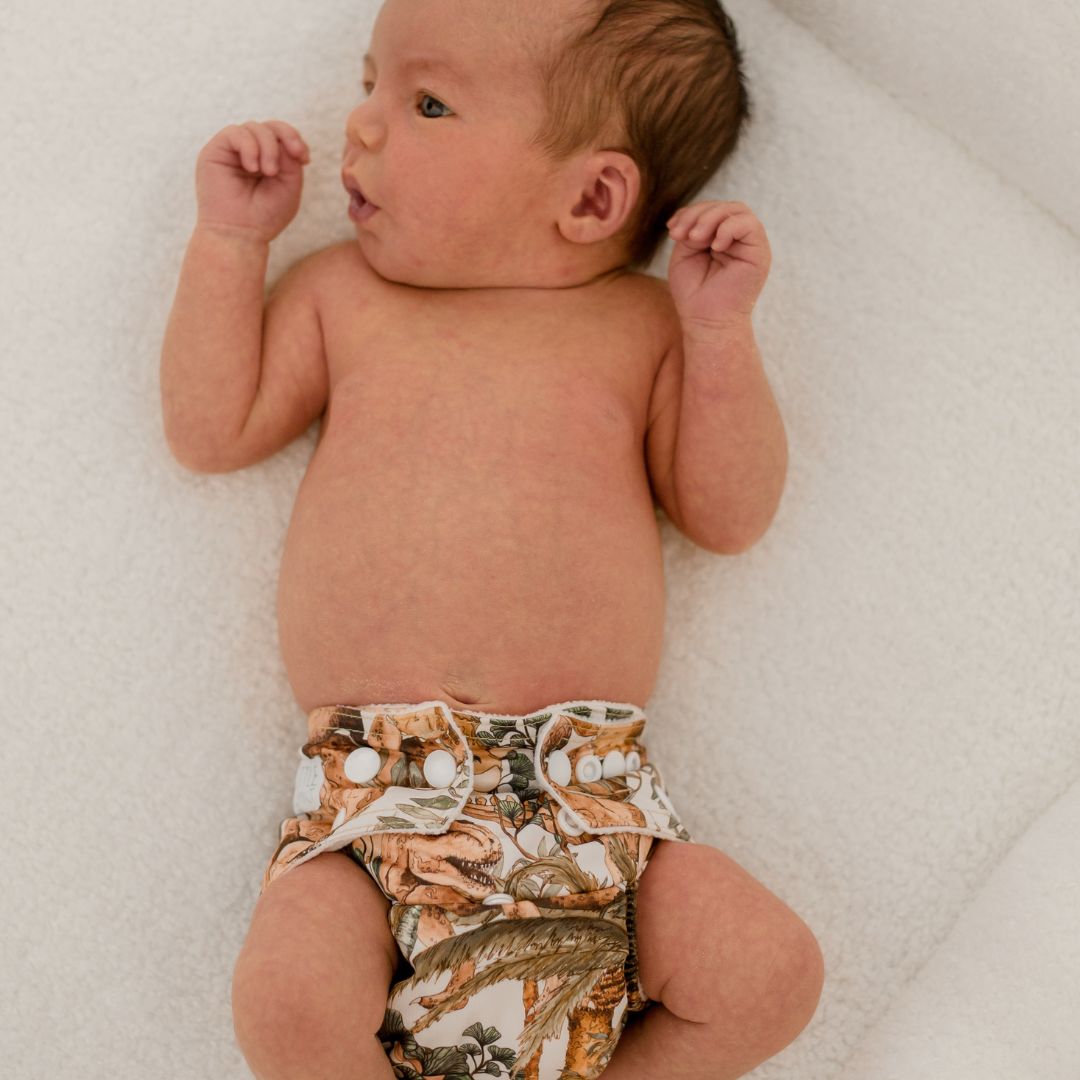 Newborn Cloth Nappy - Dino Land