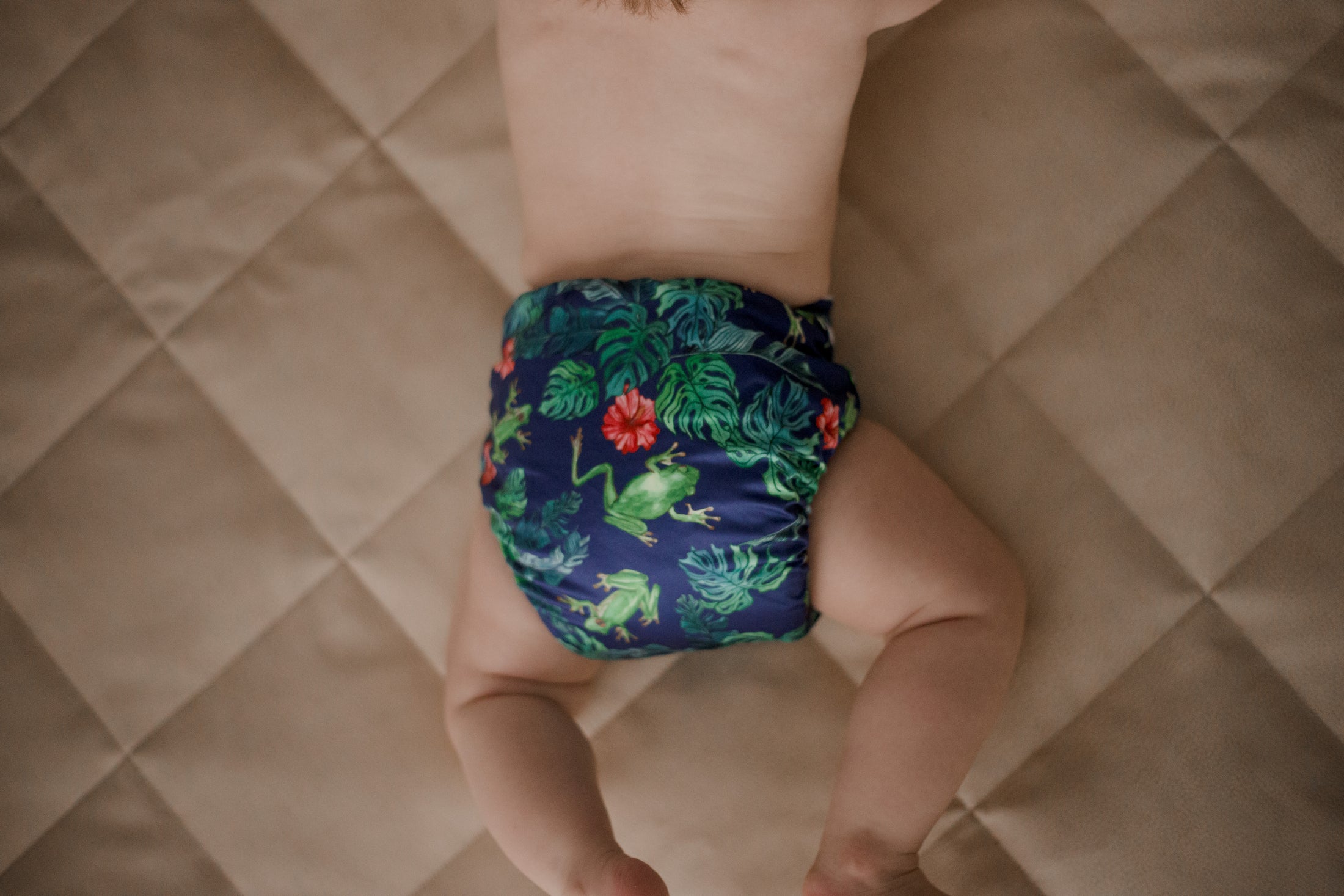 Cloth Nappy 1.0 - Tropical Frogs