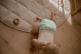 Load image into Gallery viewer, Cloth Nappy 2.0 - Mint
