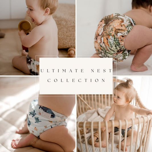 Ultimate Nest Collection