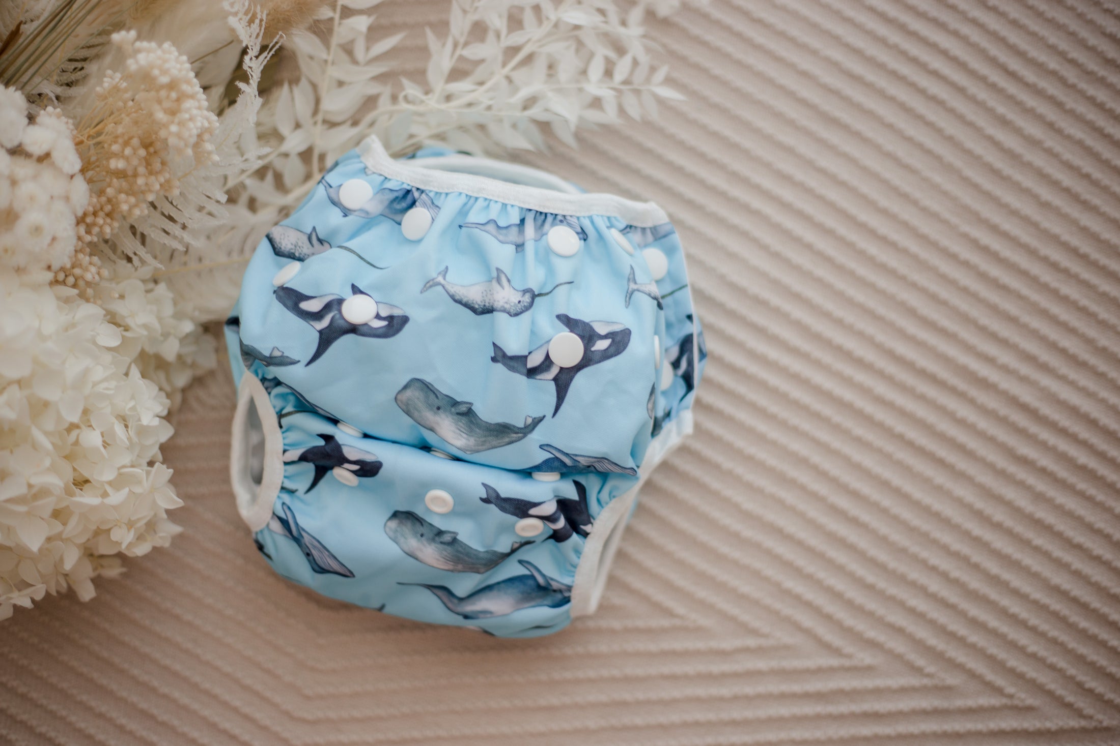 Whales cloth swimming nappy. Reusable swimming nappy. Australian artist design cloth nappy. My little gumnut. 
