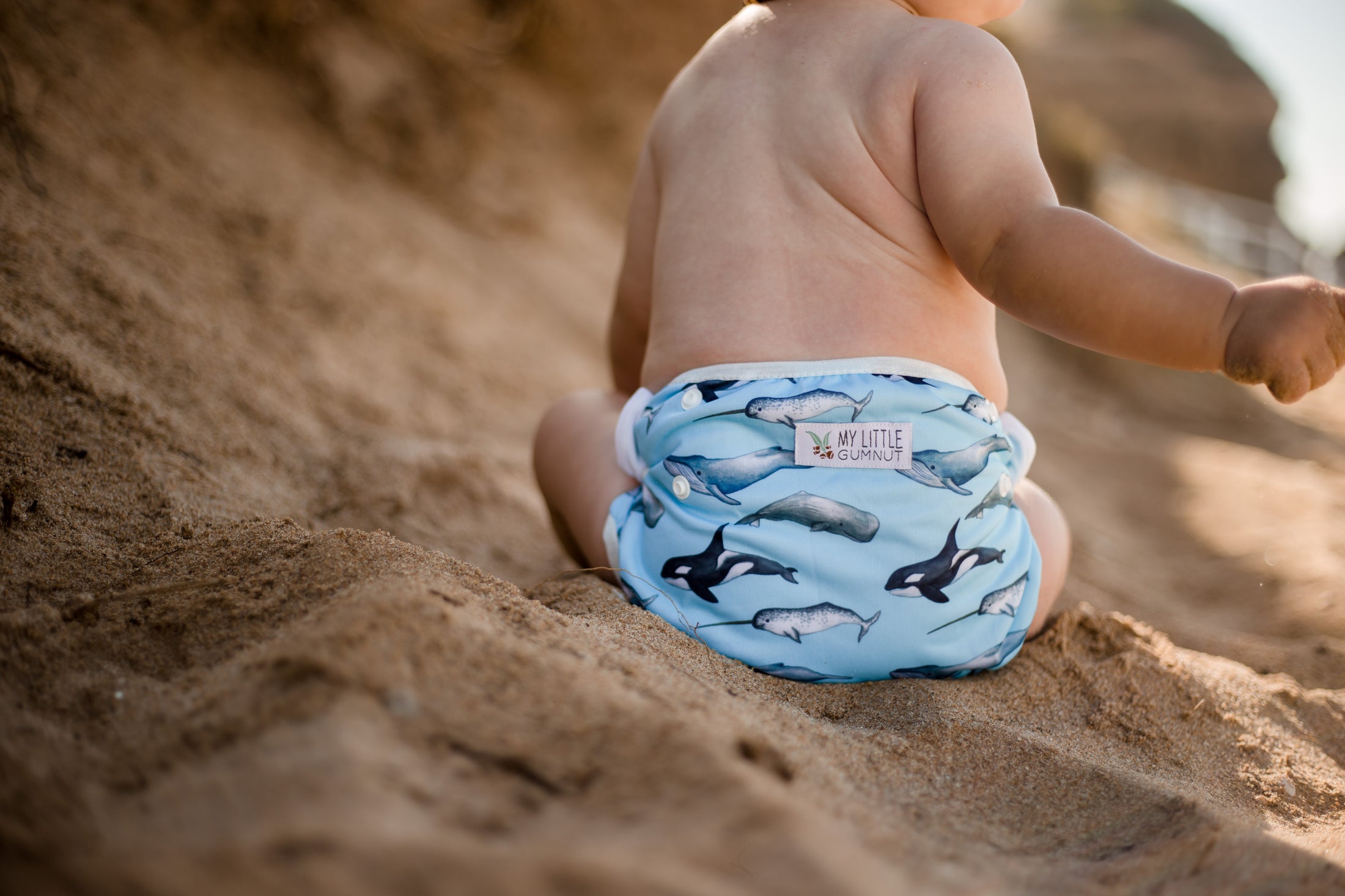 beach baby wearing a Whales cloth swimming nappy. Reusable swimming nappy. Australian artist design cloth nappy. My little gumnut. 
