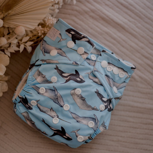 Modern Cloth Nappy Package. MCN. Reusable nappies. My Little Gumnut. Australian brand. Eco-friendly. Sustainability. Modern Cloth Nappies. Whales. Whale nappy.