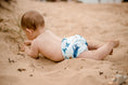 Load image into Gallery viewer, Beach baby wearing Marine Life Swimming Nappy. Reusable swimming nappy at the beach. My Little Gumnut.

