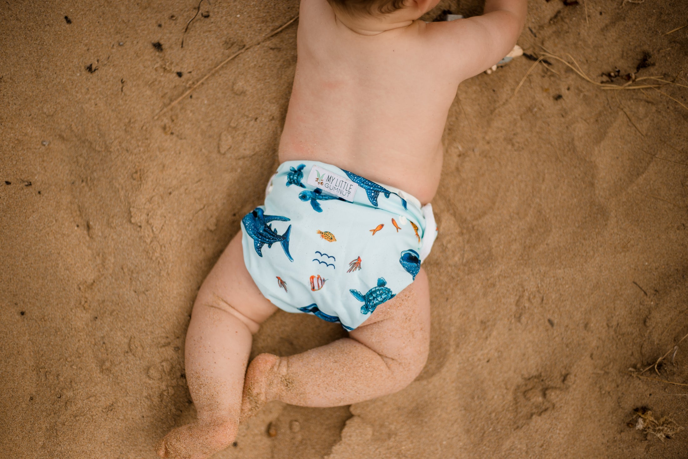 Beach baby wearing Marine Life Swimming Nappy. Reusable swimming nappy at the beach. My Little Gumnut.